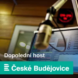 Dopolední host