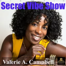 The Secret Vibe Show Podcast artwork
