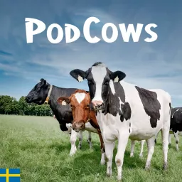 PodCows (SE) Podcast artwork