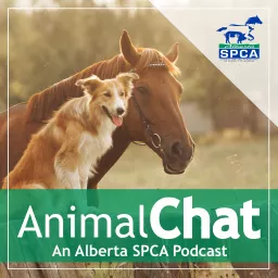 AnimalChat - An Alberta SPCA Podcast artwork