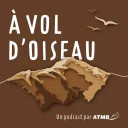 A Vol d’oiseau Podcast artwork