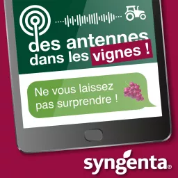 Des antennes dans les vignes Podcast artwork