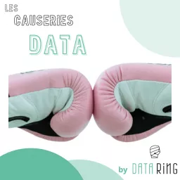 Les Causeries Data Podcast artwork