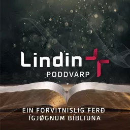 Ein forvitnislig ferð gjøgnum bíbliuna Podcast artwork
