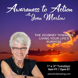 Awareness to Action with Joan Marlow: The Journey Towards Living Your Life's Purpose Podcast artwork