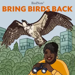 Bring Birds Back Podcast artwork