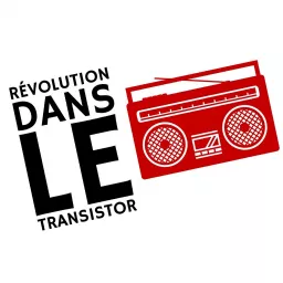 REVOLUTION DANS LE TRANSISTOR ou l'Histoire des Radios Libres à Lyon