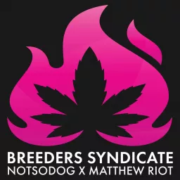 Breeders Syndicate Podcast artwork