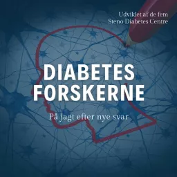 Diabetesforskerne