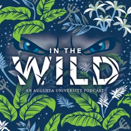 In The Wild Podcast artwork