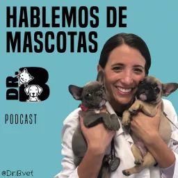 Hablemos de Mascotas con Dr.B Vet Podcast artwork
