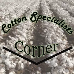 Cotton Specialists Corner Podcast artwork