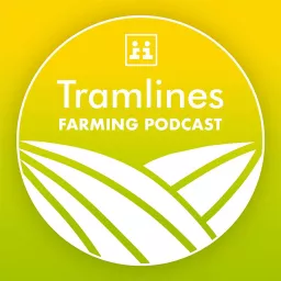 Tramlines Podcast artwork