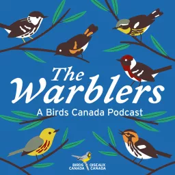 The Warblers by Birds Canada Podcast artwork