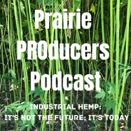 Prairie PROducers Podcast | industrial hemp: it's not the future; it's today artwork