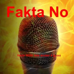 FAKTA No Podcast artwork