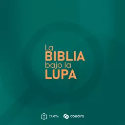 Biblia bajo la lupa