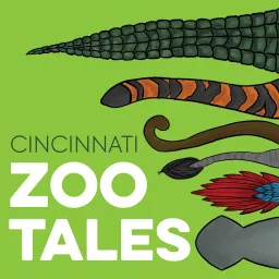 Cincinnati Zoo Tales Podcast artwork