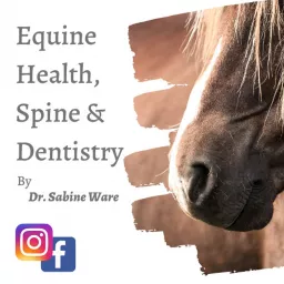 Equine HSD - Horses Put Simply