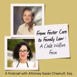 From Foster Care to Family Law - A Child Welfare Focus Podcast artwork
