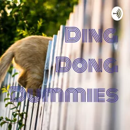 Ding Dong Dummies Podcast artwork