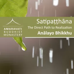 Satipaṭṭhāna / Satipatthana : The Direct Path to Realization by Analayo - Readings and comments by Ajahn Amaro Podcast artwork