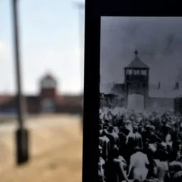On Auschwitz Podcast artwork