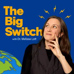 The Big Switch Podcast artwork