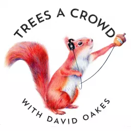 Trees A Crowd Podcast artwork