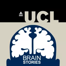 Brain Stories Podcast artwork