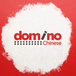 Learn Chinese in 100 Days | Domino Chinese