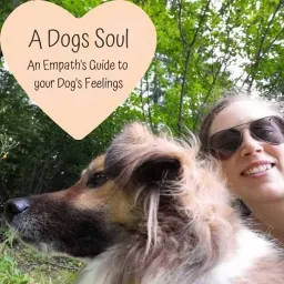 A Dog's Soul - An Empath's Guide to your Dog's Feelings Podcast artwork