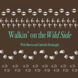 Walkin' on the Wild Side Podcast artwork