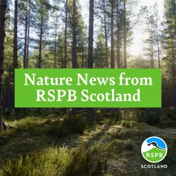 Nature News from RSPB Scotland Podcast artwork
