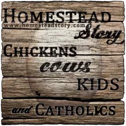 Homestead Story - Chickens, Cows, Kids, and Catholics Podcast artwork