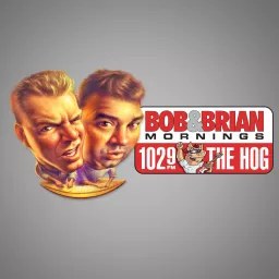 Bob and Brian Podcasts artwork