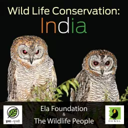 Wild Life Conservation: India Podcast artwork