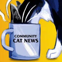 Community Cat News Podcast artwork