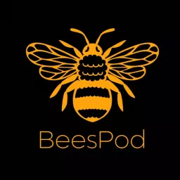 BeesPod - Barnet FC Podcast