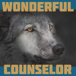 wonderful counselor