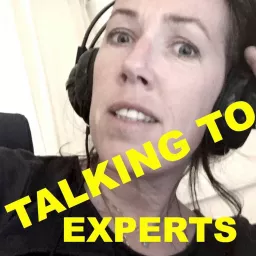 Talking to Experts Podcast artwork