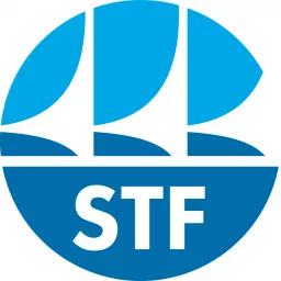 STF Oficial Podcast artwork