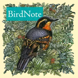 BirdNote Daily Podcast artwork