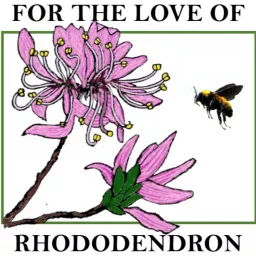 For the Love of Rhododendron Podcast artwork