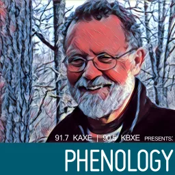 Phenology Podcast artwork