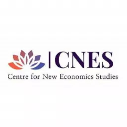 Center for New Economics Studies