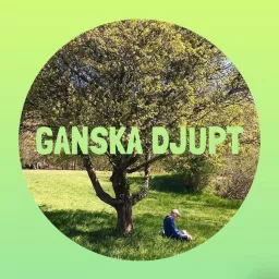 Ganska Djupt Podcast artwork