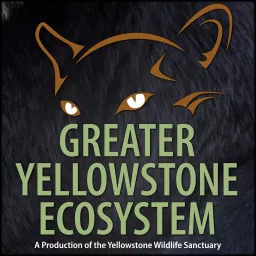 Greater Yellowstone Ecosystem Podcast artwork