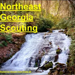 Northeast Georgia Scouting Podcast artwork