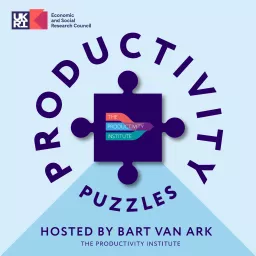Productivity Puzzles Podcast artwork